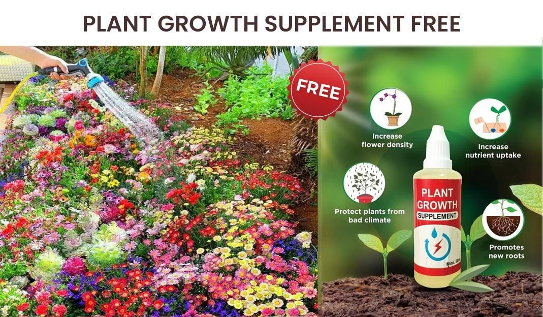 Buy Varieties of Flower Seeds (Pack of 100) And Get Plant Growth SUPPLEMENT  FREE