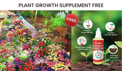 Buy Varieties of Flower Seeds (Pack of 100) And Get Plant Growth SUPPLEMENT  FREE