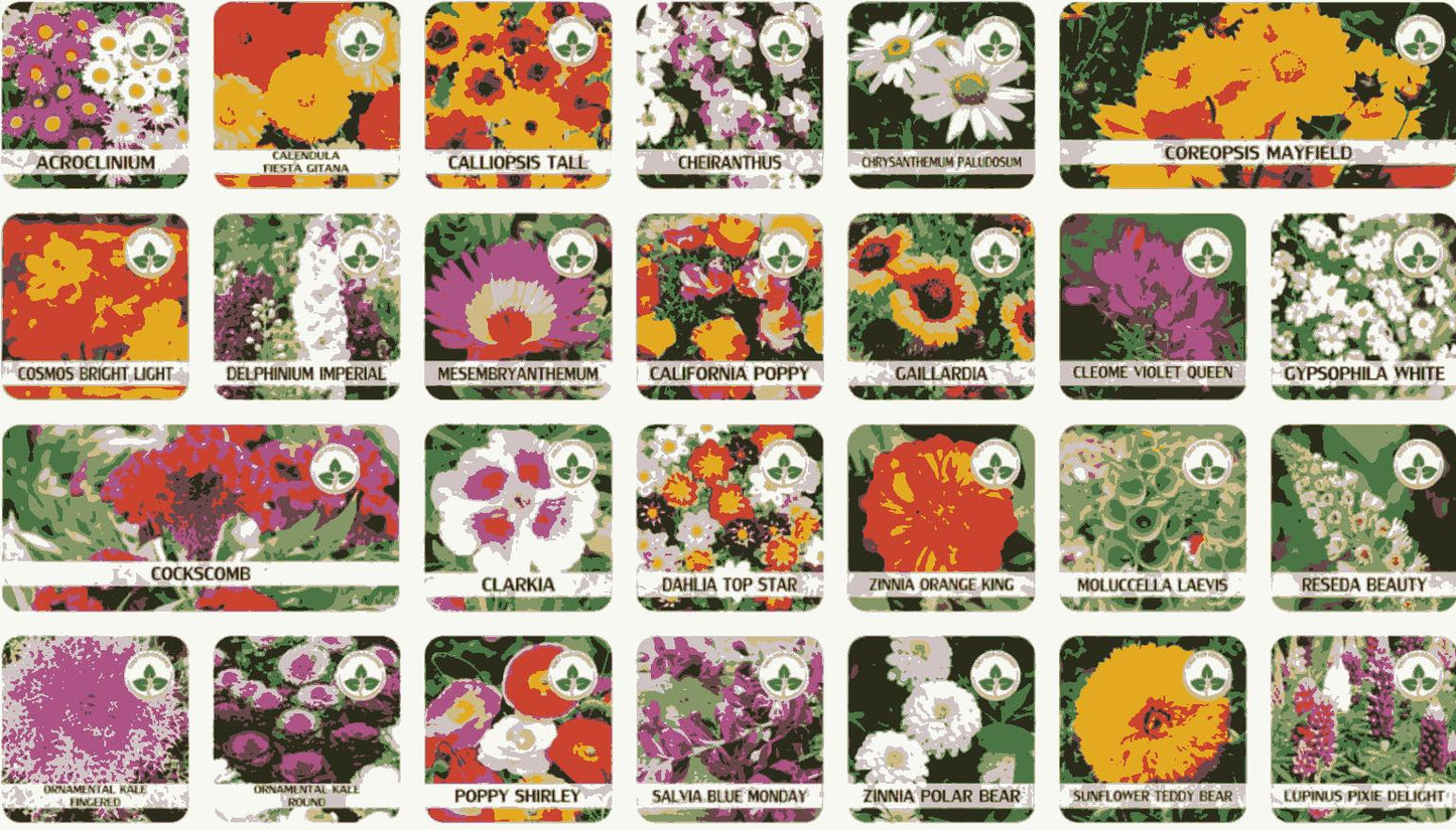 Buy Varieties of Flower Seeds (Pack of 100) And Get Plant Growth SUPPLEMENT  FREE