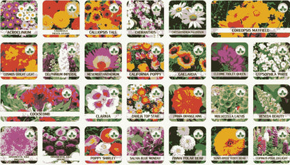 Buy Varieties of Flower Seeds (Pack of 100) And Get Plant Growth SUPPLEMENT  FREE